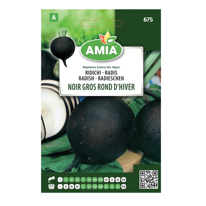Seminte legume Amia A, ridichi Noir Gros Rond D'Hiver