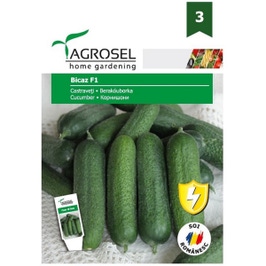 Seminte legume castraveti Bicaz F1 AS-PG3, Agrosel