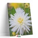 Tablou canvas Floare alba 3, Picma, standard, panza + sasiu lemn, 40 x 60 cm