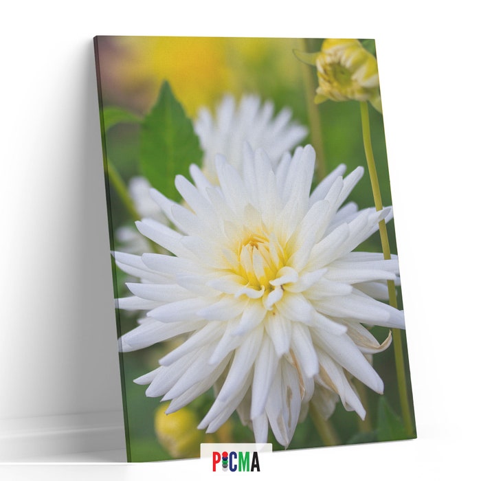 Tablou canvas Floare alba 3, Picma, standard, panza + sasiu lemn, 60 x 90 cm