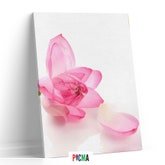 Tablou canvas luminos Floare roz, Picma, dualview, panza + sasiu lemn, 40 x 60 cm