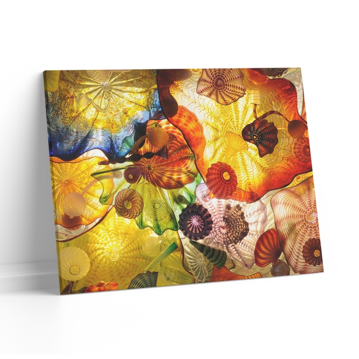 Tablou canvas luminos Meduze in culori, CLT0293, Picma, dualview, panza + sasiu lemn, 80 x 120 cm